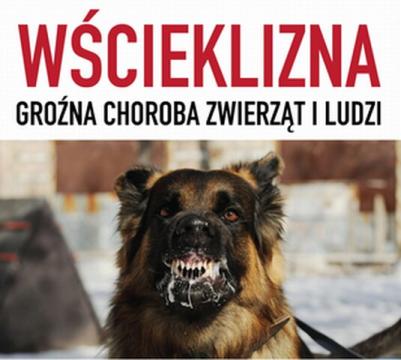 Wścieklizna Zwierząt
